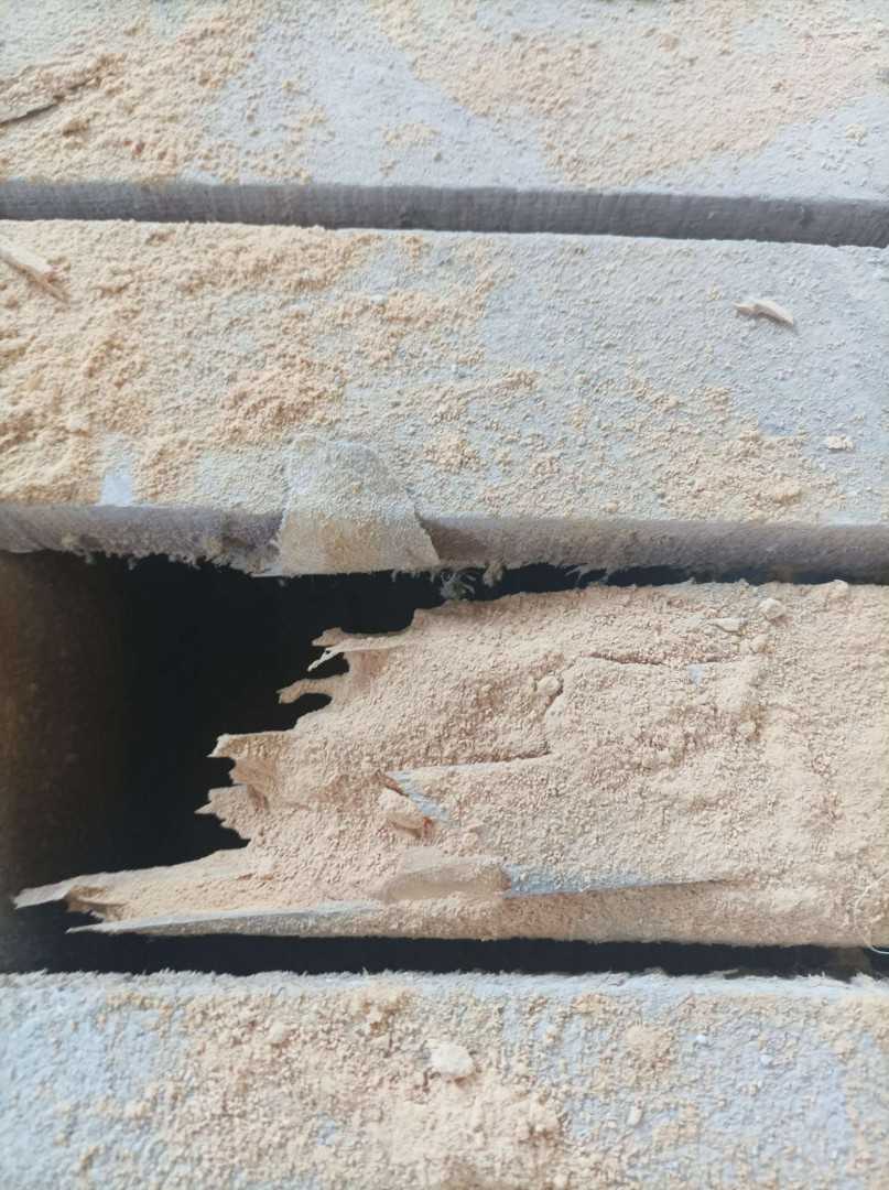 xylophage traitement antibes